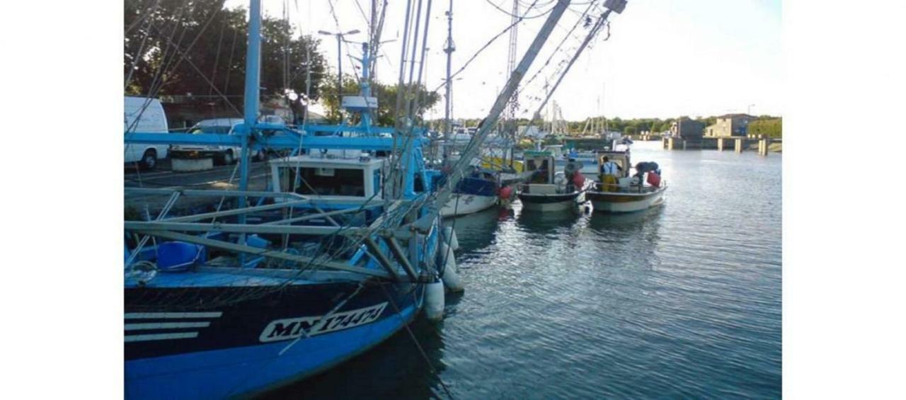 La Palombiere, Plage A 150M Meschers-sur-Gironde Exterior foto